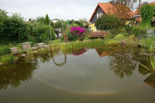 Ferienwohnung Dorle Im Ferienhaus Wedler In Benneckenstein Im Harz Mit Großem Naturnahen Garten - Benneckenstein - 6