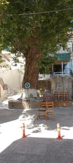 Tania's House - Marathokampos - 0