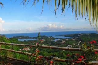 Spacious & quiet Apt 2 Nested Point Old Westerhall - Corbeau Town - 7