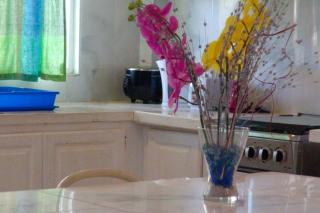 Spacious & quiet Apt 2 Nested Point Old Westerhall - Corbeau Town - 4