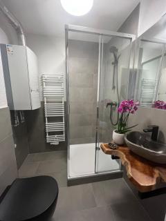 Black Forest City Apartment mit kostenlosem Parkplatz - Friburgo in Brisgovia - 9
