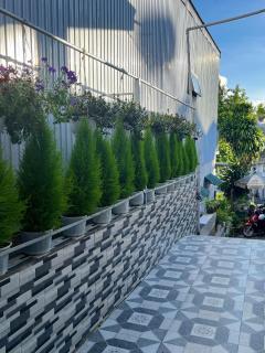 Homestay SURI SỮA - Dalat - 3