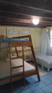 Casa Olingo - Cocles - 1