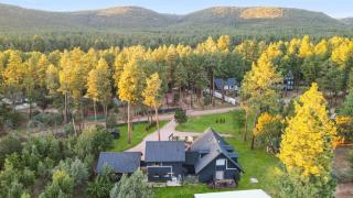 Cozy Modern Chalet in Strawberry - Pine - 9