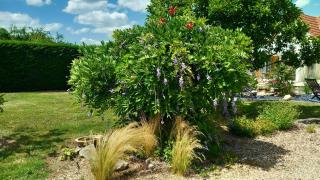 Chez Marie - Cercy-la-Tour - 5