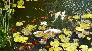 Chez Marie - Cercy-la-Tour - 4