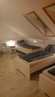 Dreibettzimmer mit Gemeinschaftsküche und je 2 Dusch- und 2 Toilettenzimmern - Hohenstein-Ernstthal - 5