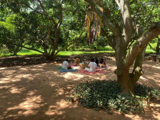 Art Forest - Pondicherry - 6
