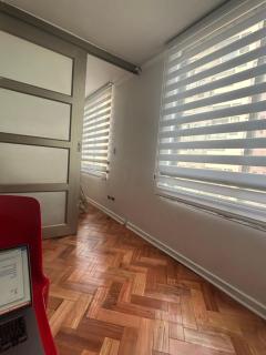 Encantador y hermoso apartamento en plaza italia para 2 - Santiago - 2