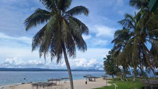 Coconut Paradise - Waisalatupo - 4