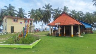Coconut Paradise - Waisalatupo - 2