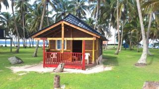 Coconut Paradise - Waisalatupo - 9