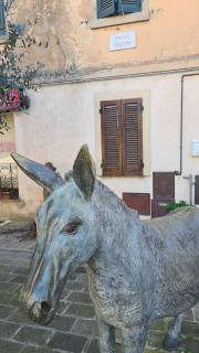 Rocca Casa - 4