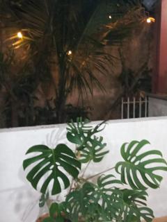 Cantinho do Sossego - 4
