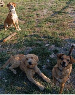 AgriBnB Casa Furnaredda - 3