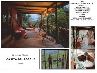 La Casita del Bosque - Santa Marta - 9