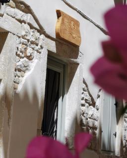 Nio's nest - Gaios (Passo) - 9