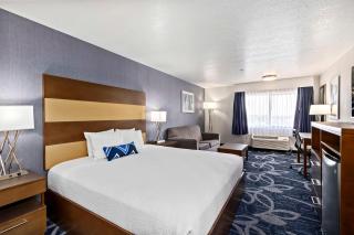 Best Western Plus Twin Falls Hotel - Twin Falls - 7