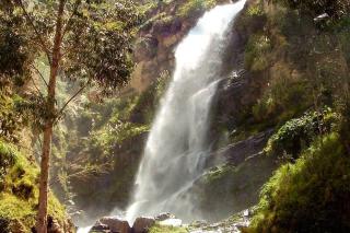 Puerto Natura Country - Sacaba - 5