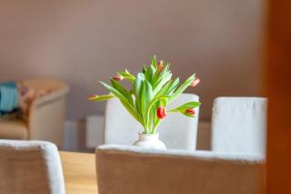 Ferienwohnung-1-im-Landhaus-am-Wildpark-Boek - 6