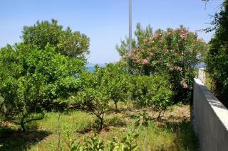 Apartment Drace 4550a - Drače - 3