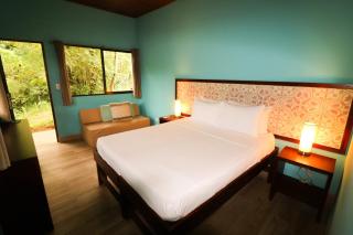 Teva Hotel & Jungle Reserve - Manuel Antonio - 9