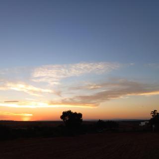 Apartamentos Rurales Las Grullas - 7