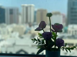 Corniche Street - Stunning Room - Abu Dhabi - 1