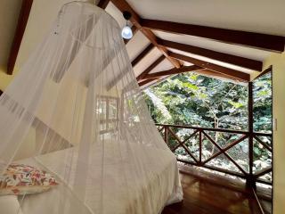 Villa Colibri - Secluded Jungle Villa - Short Stroll to Beach, Shops & Restaurants - Cocles - 5