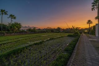 Casa Vera - Delightful 1-Bedroom Villas in the Heart of Umalas - 2