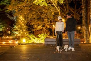 Forest Hills Nasu - Nasu - 8