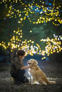 Forest Hills Nasu - Nasu - 7