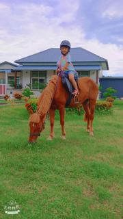 墾丁阿可休閒農莊 - 6