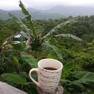 Mirador del Parque Tayrona - El Zaino - 0