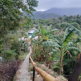 HOSTAL MIRADOR dentro del parque tayrona - 1