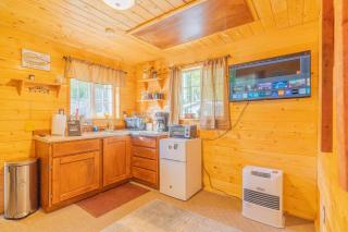 The Skarland Trail Cabin - 8