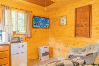 The Skarland Trail Cabin - 2