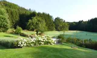Le Clos du Cerf - Le Sous-bois - Stoumont - 3