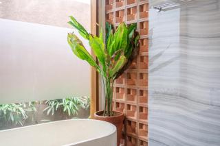 Sofia 2 - PROMO - Brand NEW - 2BDR - Huge Pool - Canggu - Canggu - 4