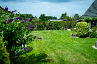 Ferienhaus Kogge Behnken - Schönhagen - 4