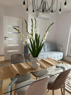 Business and Friendly Apartments Rzeszów self check in - 9