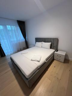 Luxury Apartments Suceava - Suceava - 9