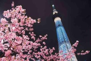 Luna House ASAKUSA TOKYO SKYTREE - Tokyo - 5
