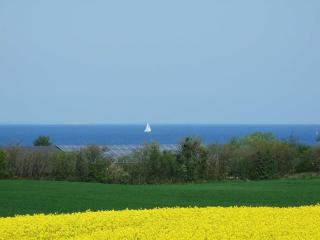 Ferienwohnung Seestern - 6