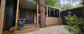 Mobile home Superior - Premantura - 9