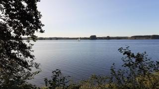 Ferienhaus Waldidyll - Erholung zwischen Schlei und Ostsee - Winnemark - 4
