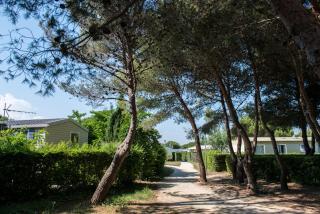 Camping Officiel Siblu Le Lac des Rêves - Lattes - 7