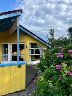 Das kleine gelbe Ferienhaus - Schönhagen - 0