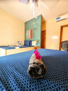 Jambiani Backpackers Hostel - Jambiani - 9