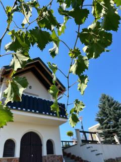 Panoráma Kisház - 8